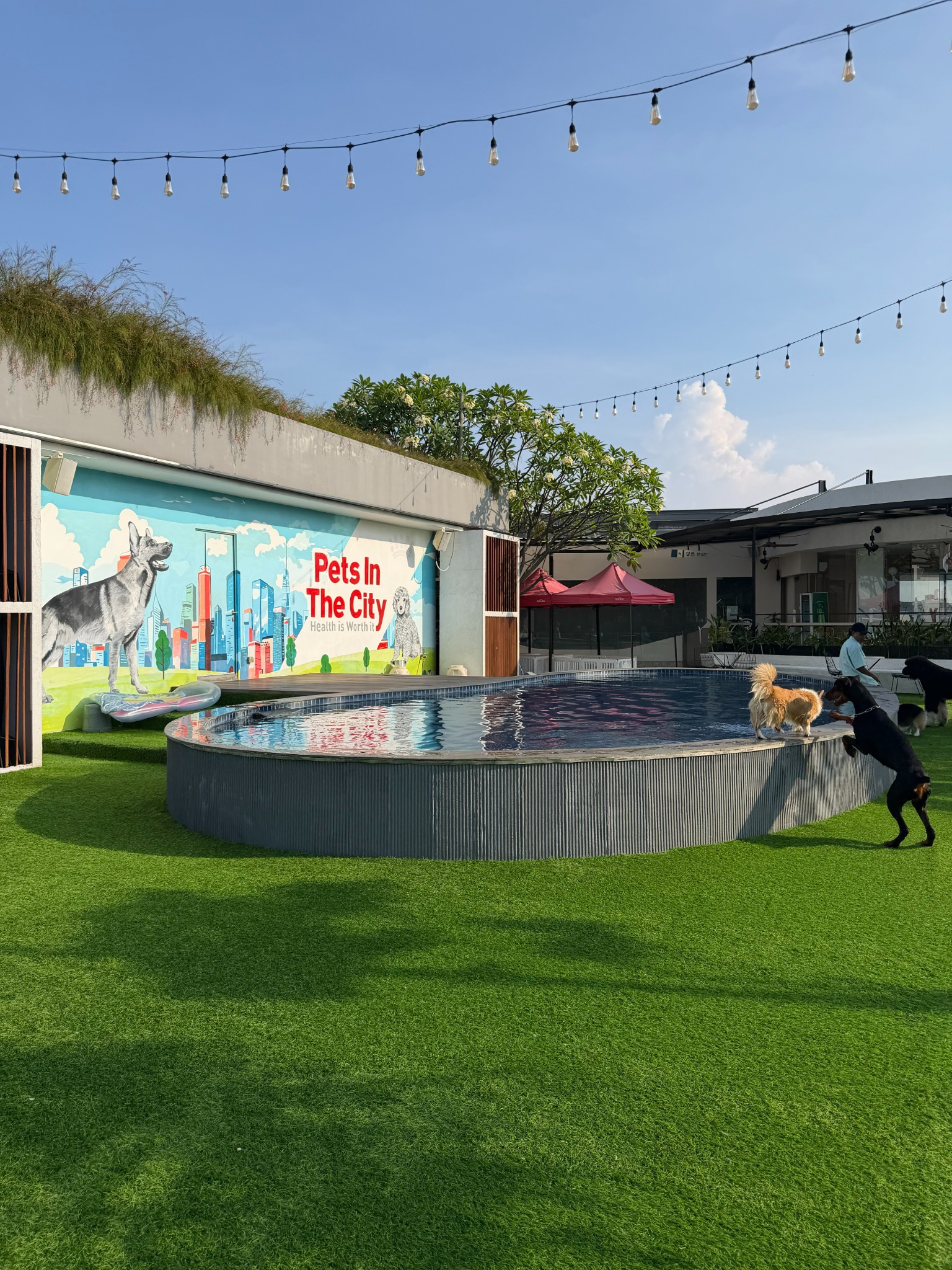 Swimming and splash zone at Regent Park