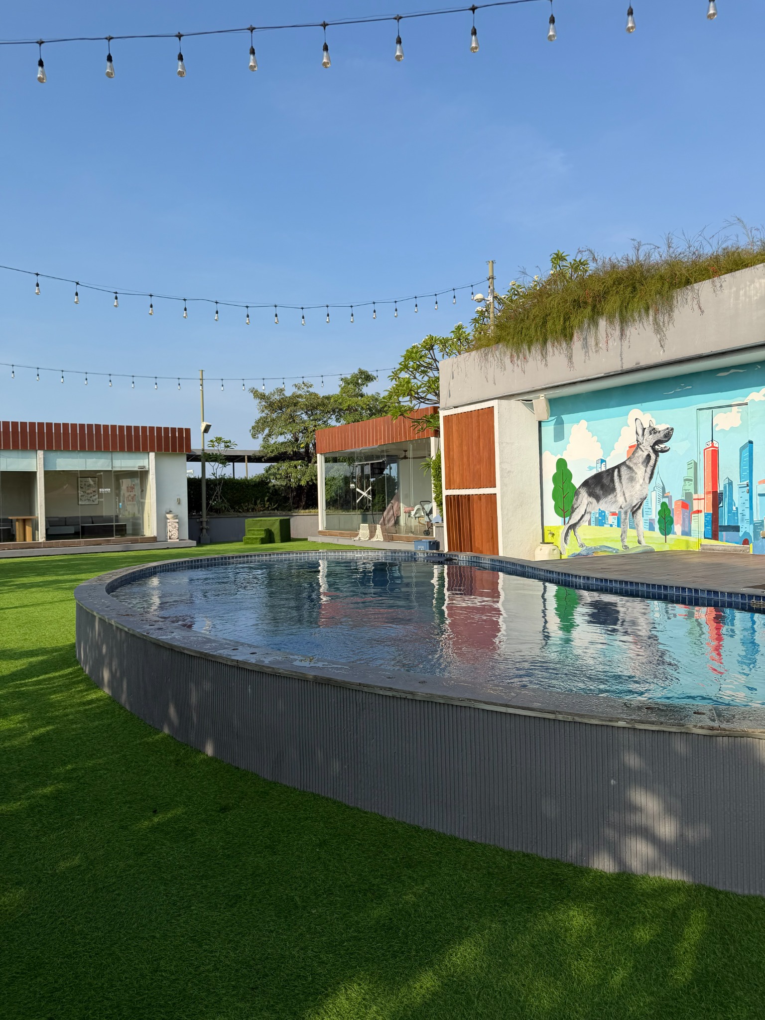 Pool and play area at Regent Park